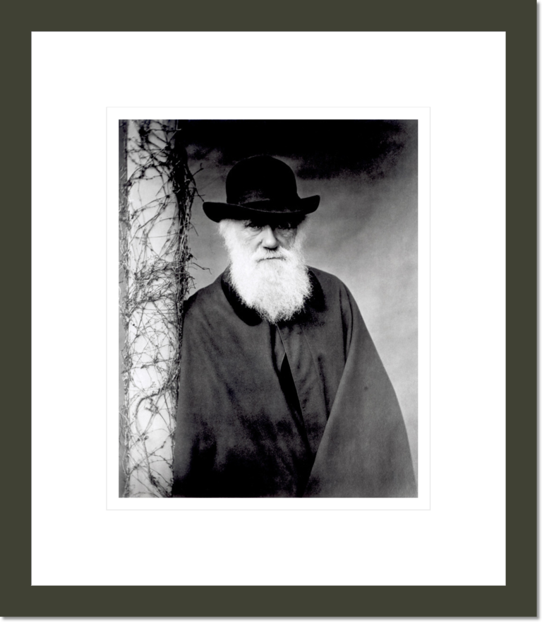 Portrait of Charles Darwin (1809-82)