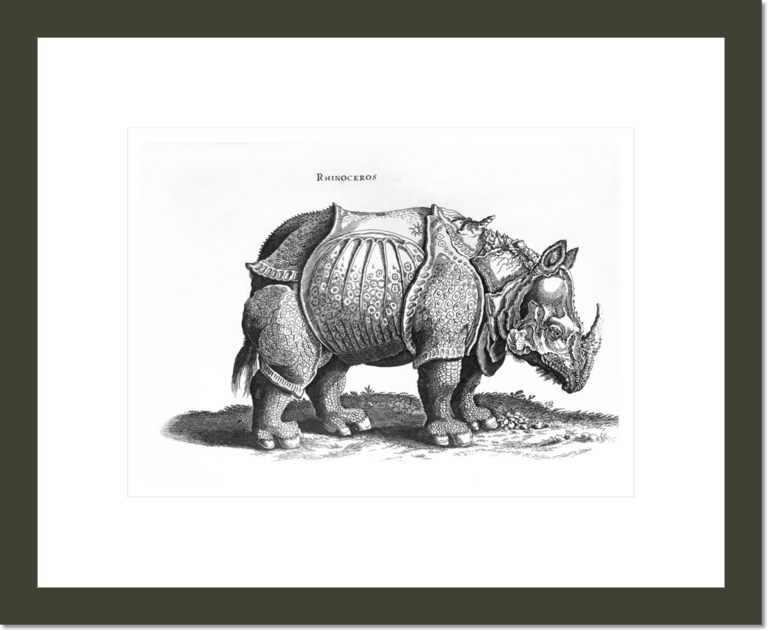 Rhinoceros, no.76 from 'Historia Animalium' by Conrad Gesner (1516-65)