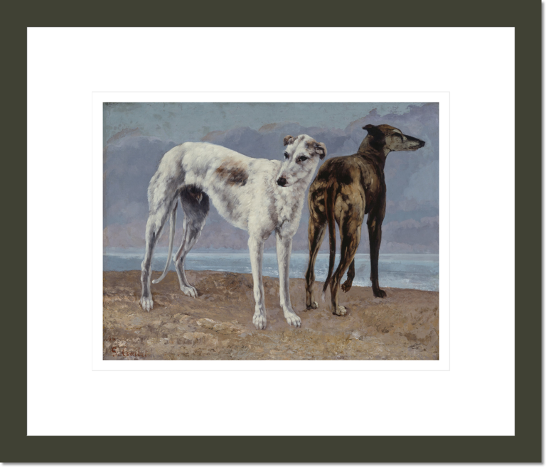 The Greyhounds of the Comte de Choiseul