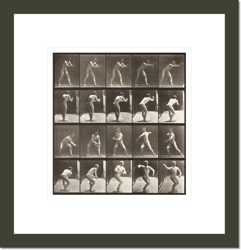 Nude man catching and throwing baseball (Animal Locomotion, 1887, plate 282)