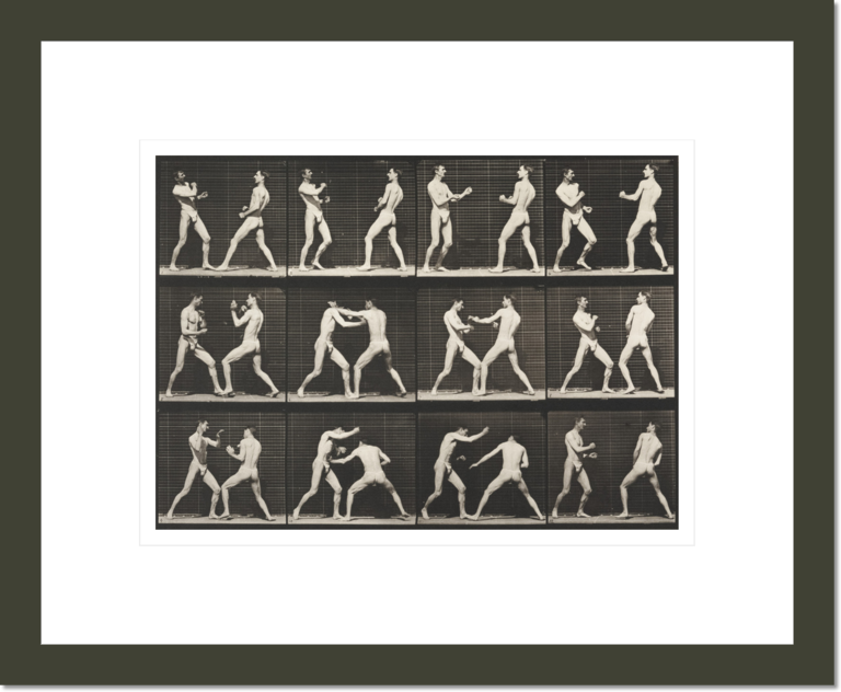 Two men in pelvis clothes boxing (Animal Locomotion, 1887, plate 338)