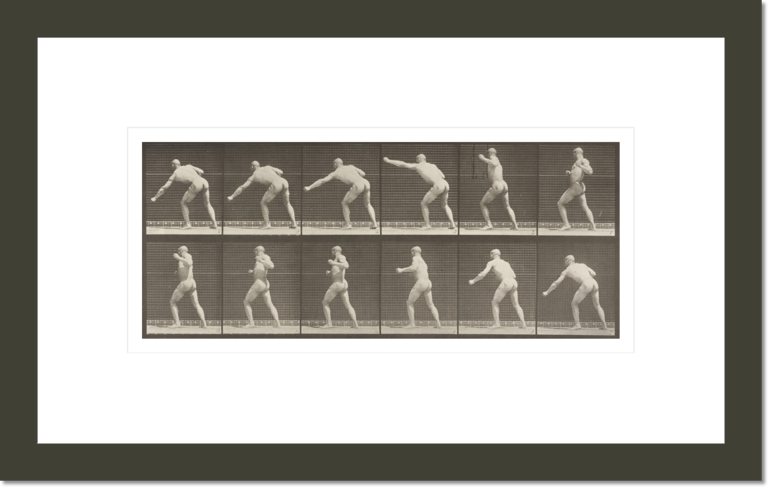 Nude man striking a blow with left hand (Animal Locomotion, 1887, plate 343)