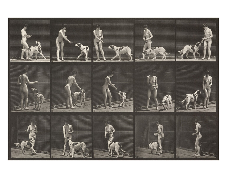 Nude woman feeding a dog (Animal Locomotion, 1887, plate 514) - 1000Museums