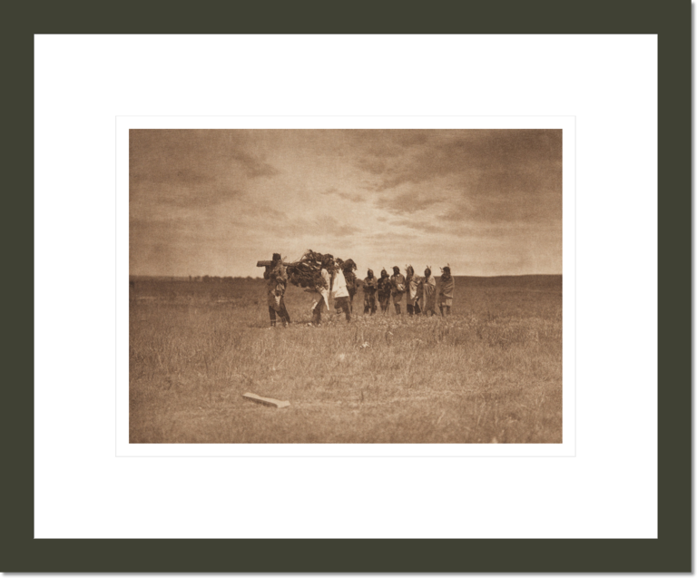 Bringing the Cedar - Arikara (The North American Indian, v. V. Cambridge, MA: The University Press, 1909)