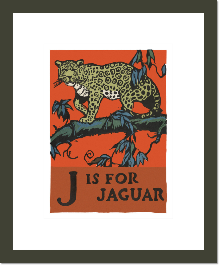 Alphabet: J is for Jaguar
