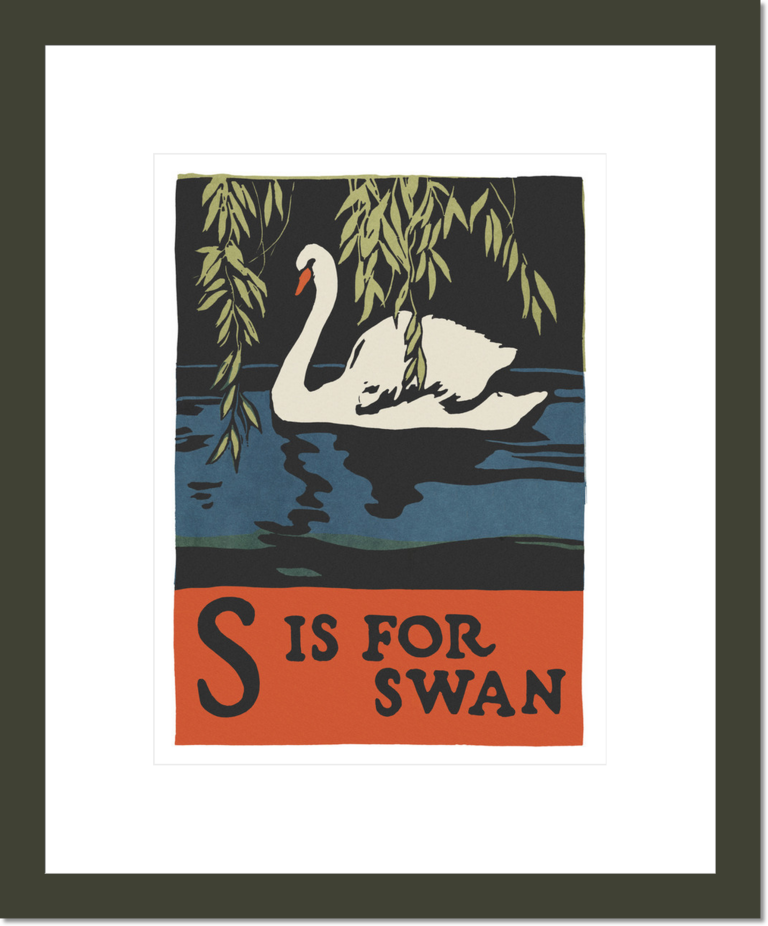 Alphabet: S is for Swan
