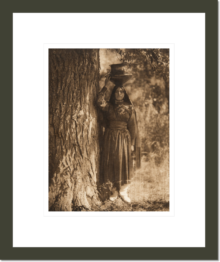 In the forest - Taos (The North American Indian, v. XVI. Norwood, MA, The Plimpton Press)