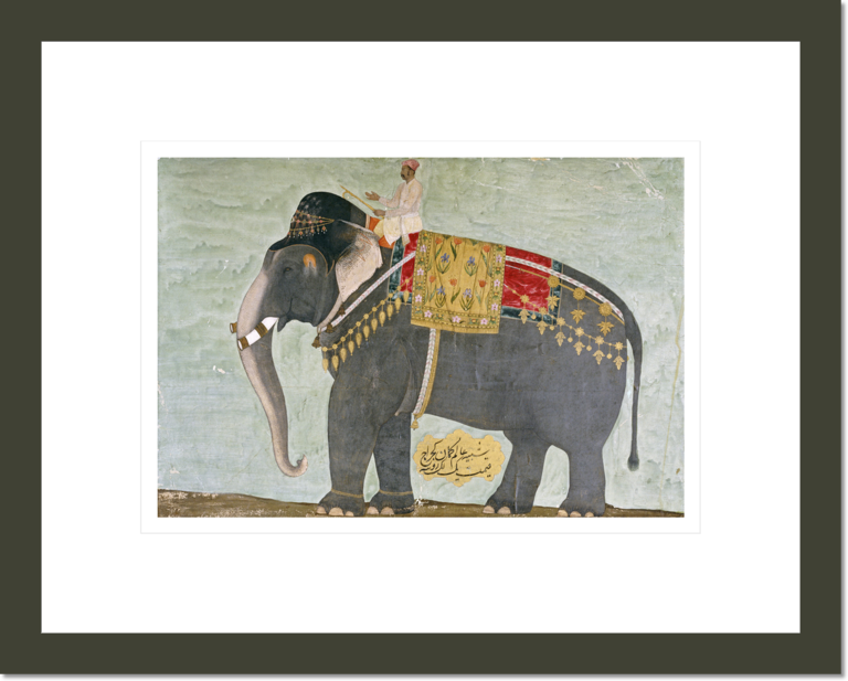 Portrait of The Elephant 'Alam-Guman Gajraj'