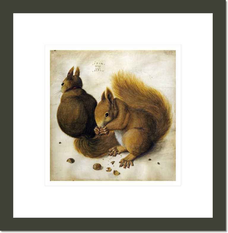 Two Squirrels, One Eating a Hazelnut