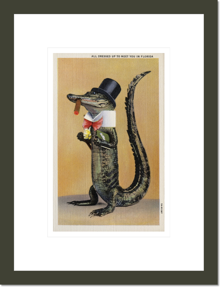 Postcard of Alligator in Top Hat and Bow Tie