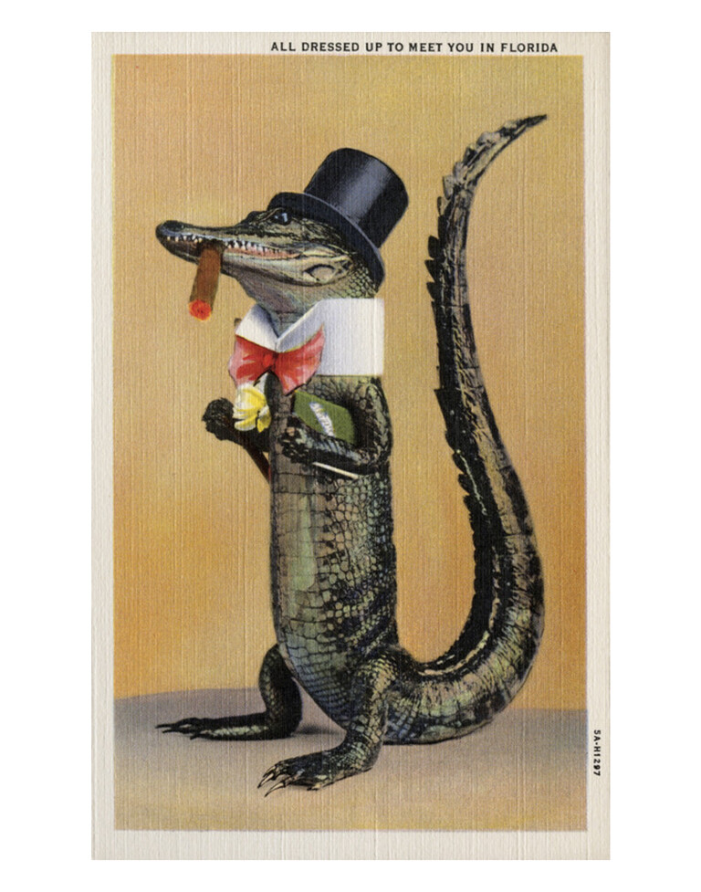 Unknown. “ Postcard of Alligator in Top Hat and Bow Tie”
