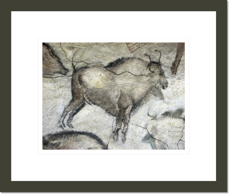 Replica of cave painting of bison from Altamira cave