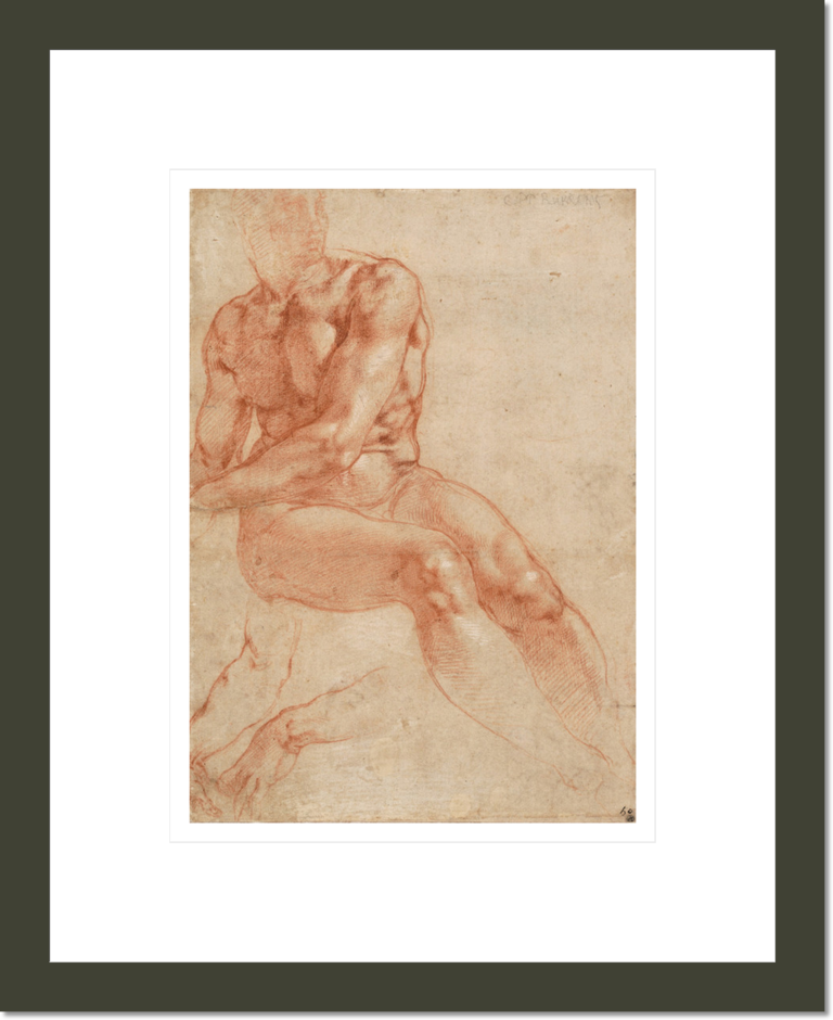 Seated Young Male Nude and Two Arm Studies (recto)