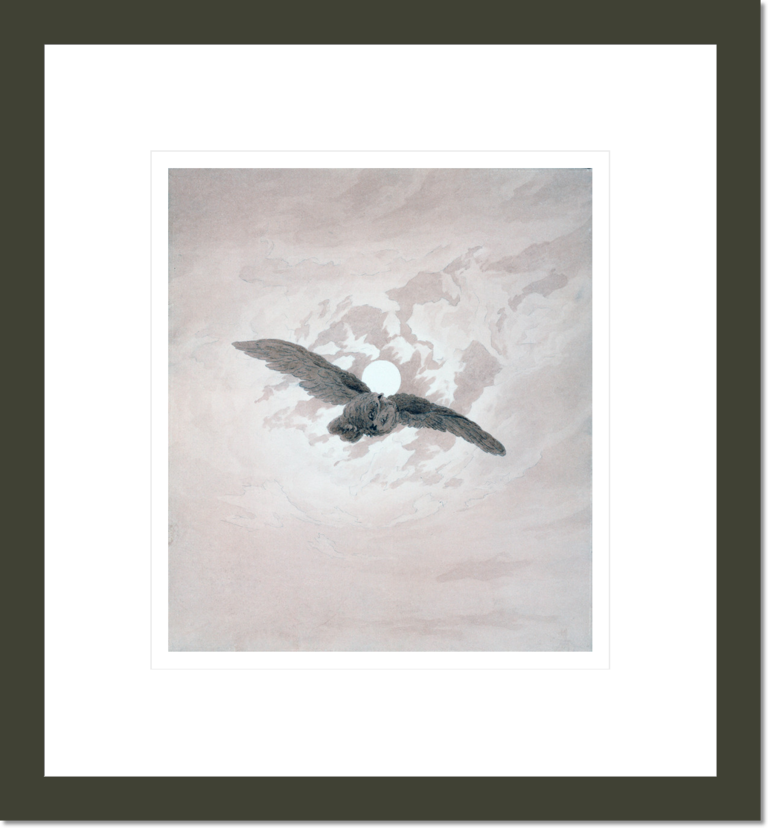 Owl Flying against a Moonlit Sky