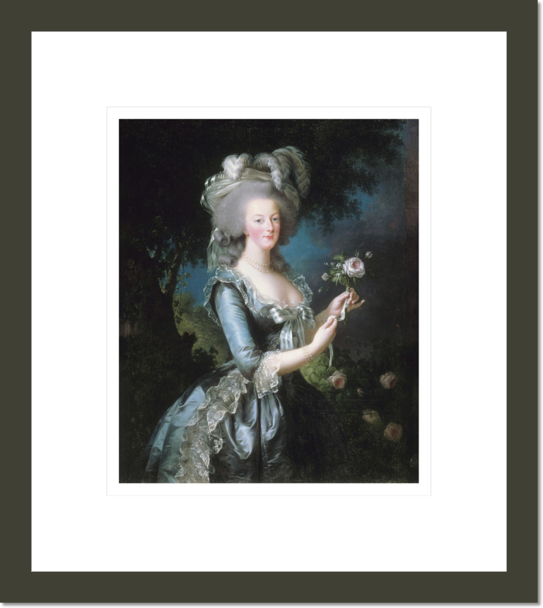 Marie-Antoinette with a Rose