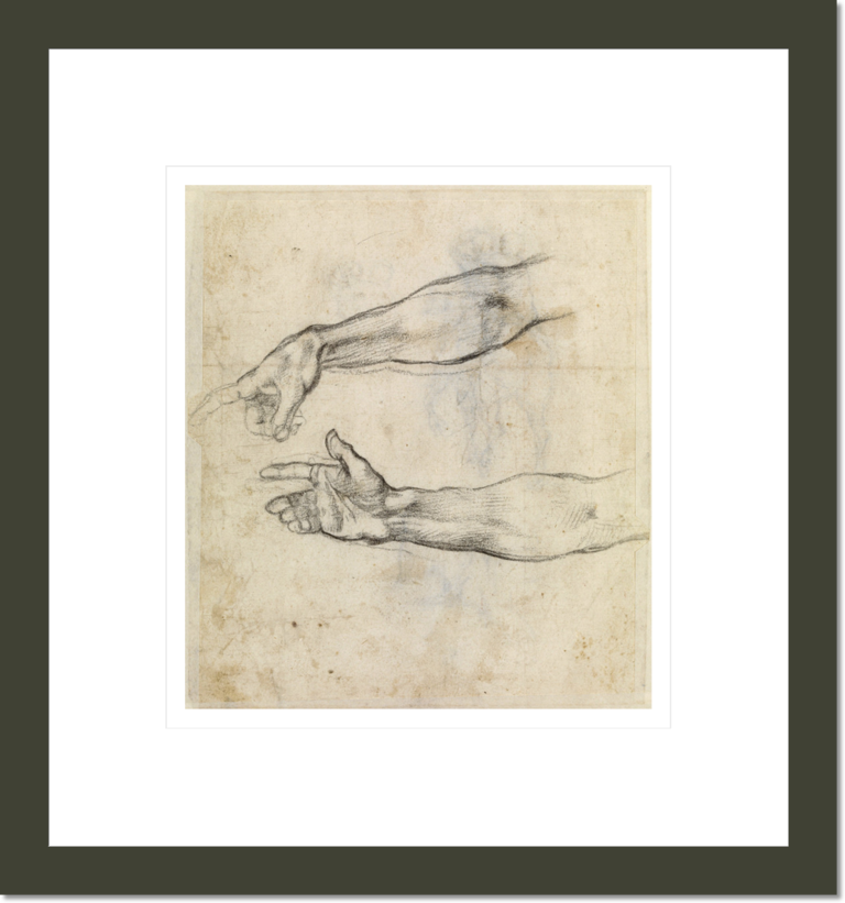 Study of two arms for 'The Drunkenness of Noah' in the Sistine Chapel