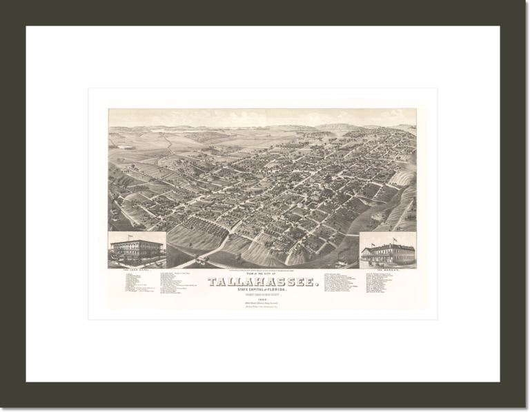 View of the city of Tallahassee. State capital of Florida, county seat of Leon county 1885.