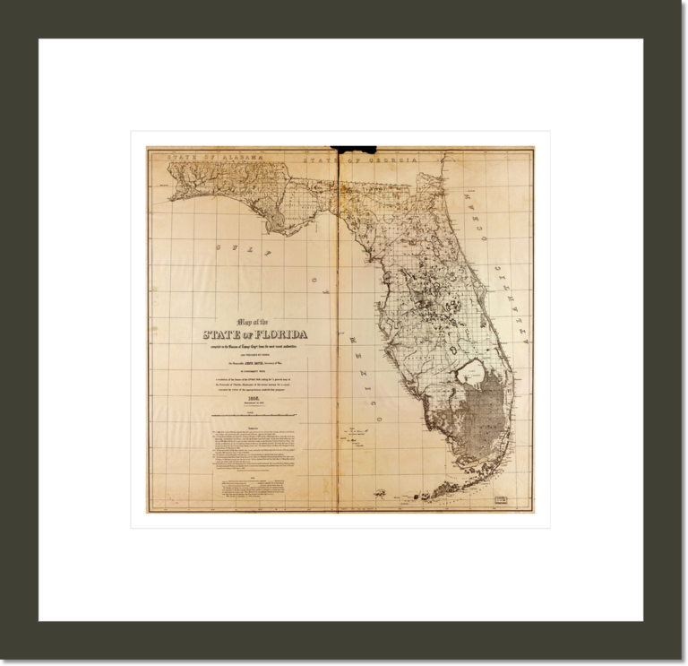 Map of the state of Florida, 1873
