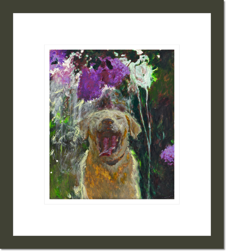 Dog under Lilacs in a Downpour