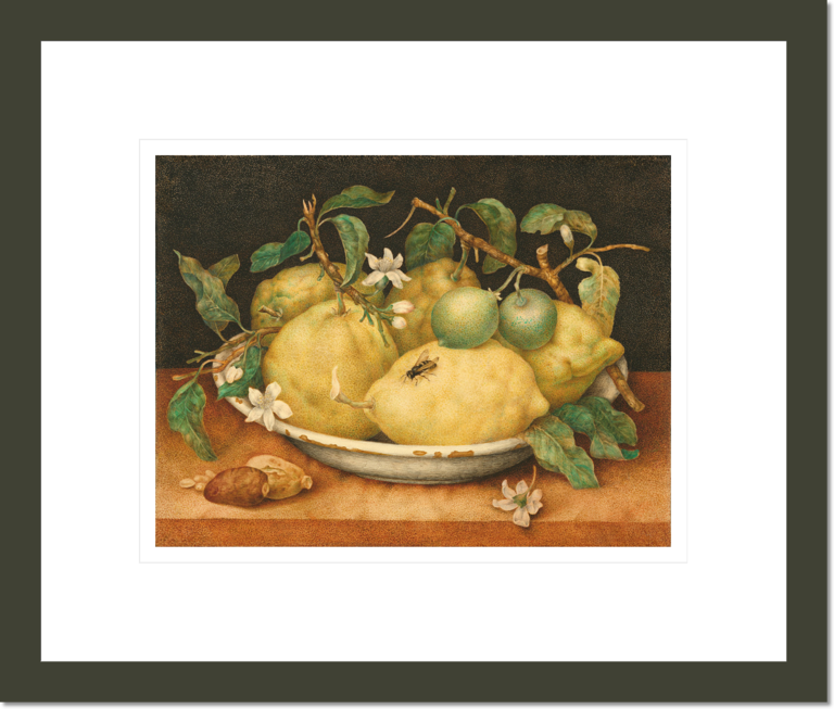 Still Life with Bowl of Citrons
