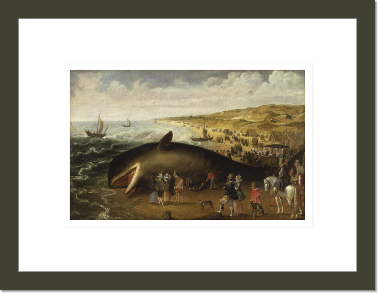 Whale Stranding of 1617 : The Whale Beached Between Scheveningen and Katwijk on 20 or 21 January 1617, with Elegant Sightseers.