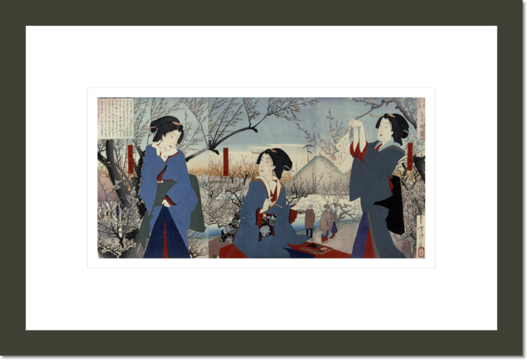 Three Beauties amid Cherry Blossoms (From a series of the Four Seasons)
