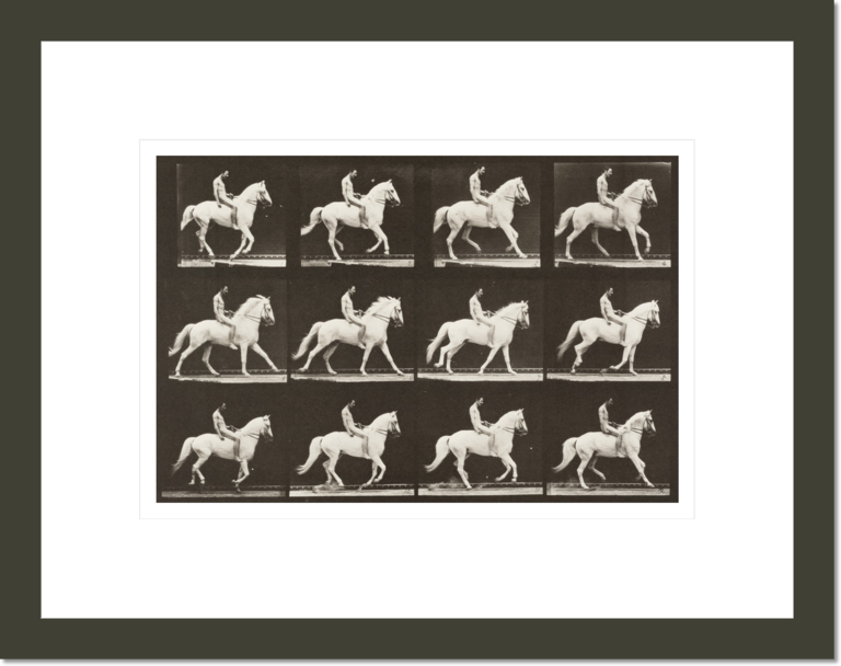 Clinton' cantering, bareback; rider nude (Animal Locomotion, 1887, plate 617)