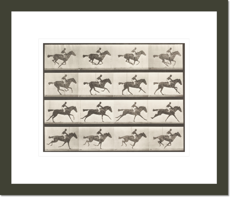 Annie G.' galloping (Animal Locomotion, 1887, plate 623)